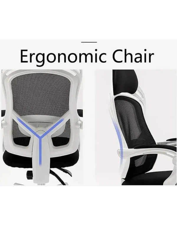 כיסא משרדי שמעוצב לפי עקרונות הארגונומיה עם התאמה מושלמת למבנה האנטומי
